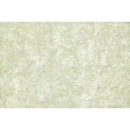 Gạch ốp tường Trường Thịnh NEW SWAN CASTLE G51002